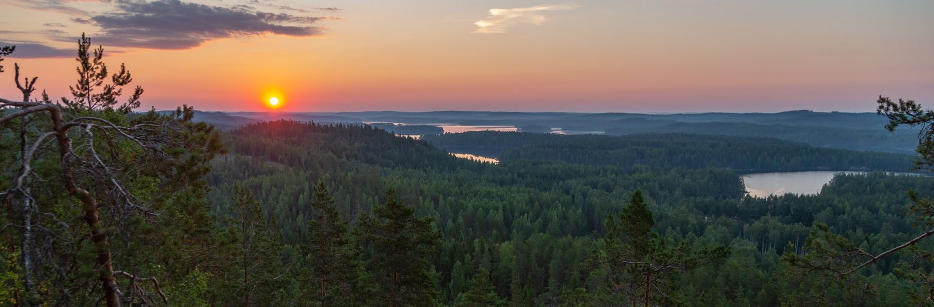 Neitvuori, Saimaa maisema, Maisemakuvaus, Auringon nousu, Metsämaisema, ©Kimmo Iso-Tuisku, asiakaskuvaus,