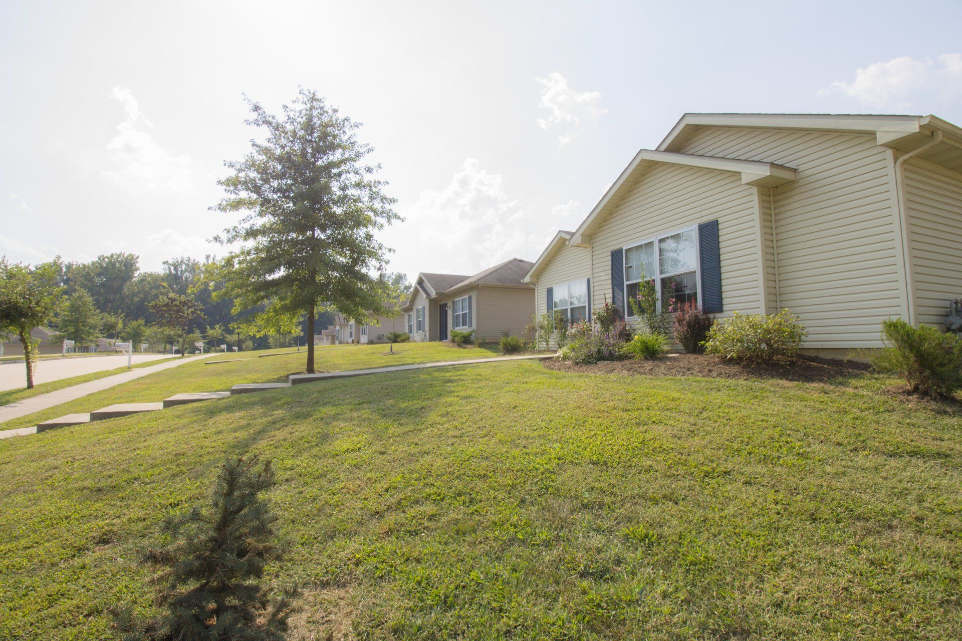 New Town Front of Homes Image