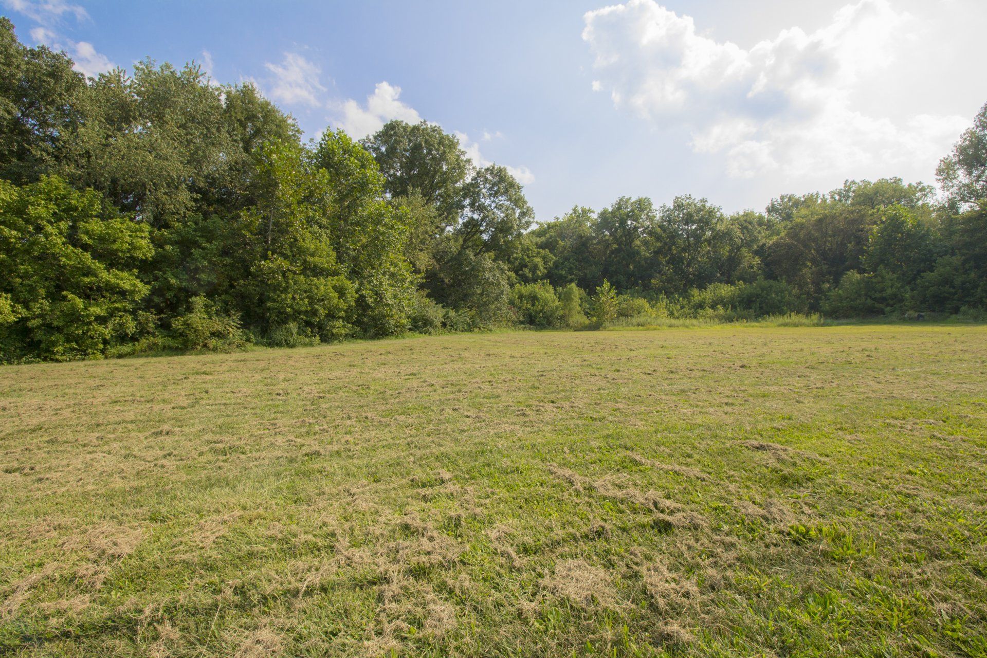 New Town Green Space Image
