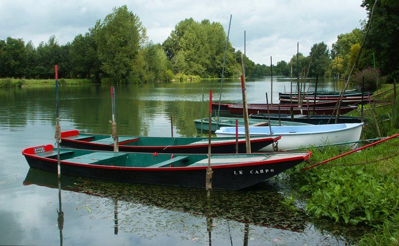 River Loir Caroline Mills