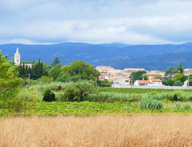 Olonzac Minervois Caroline Mills