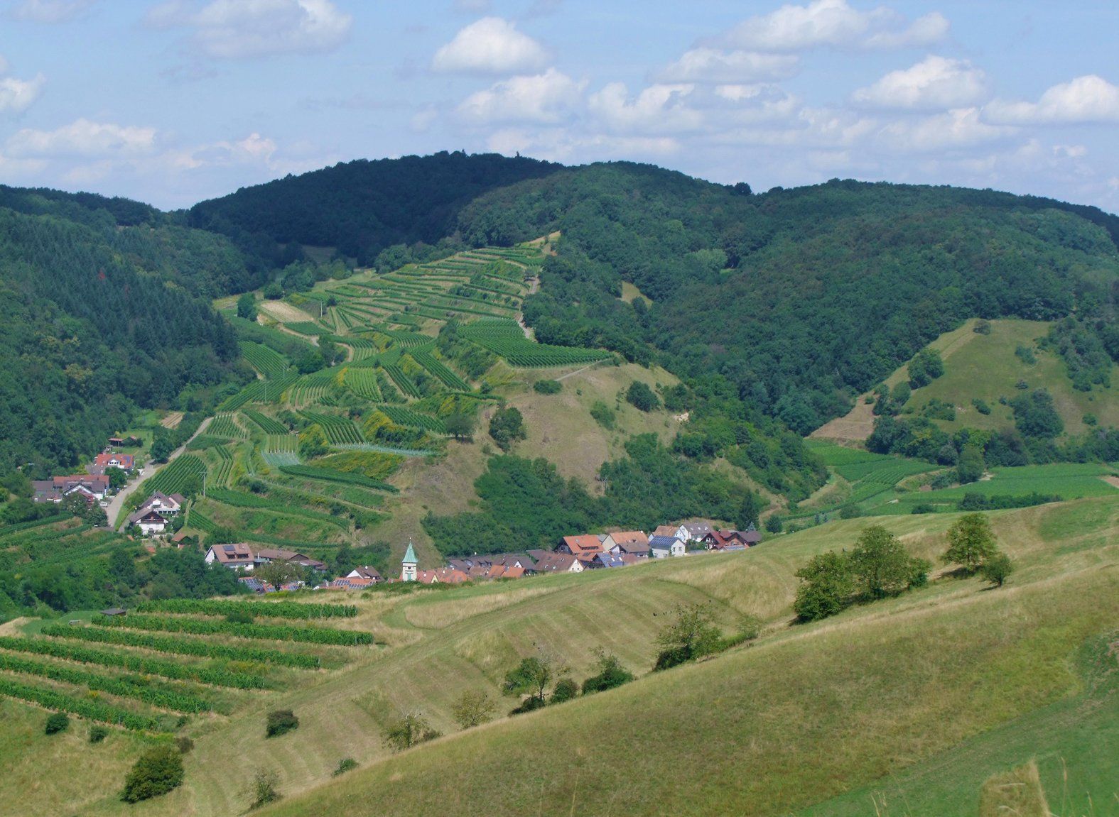 Kaisertstuhl Germany  Caroline Mills
