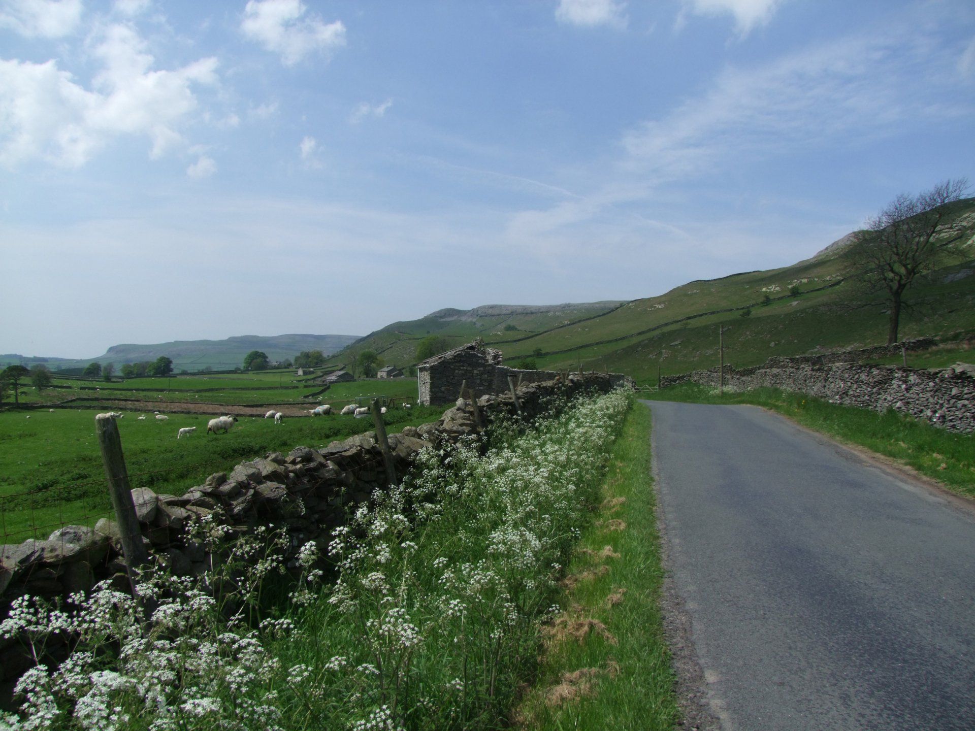 A road with a stone wall on the side of it in the Yorkshire Dales