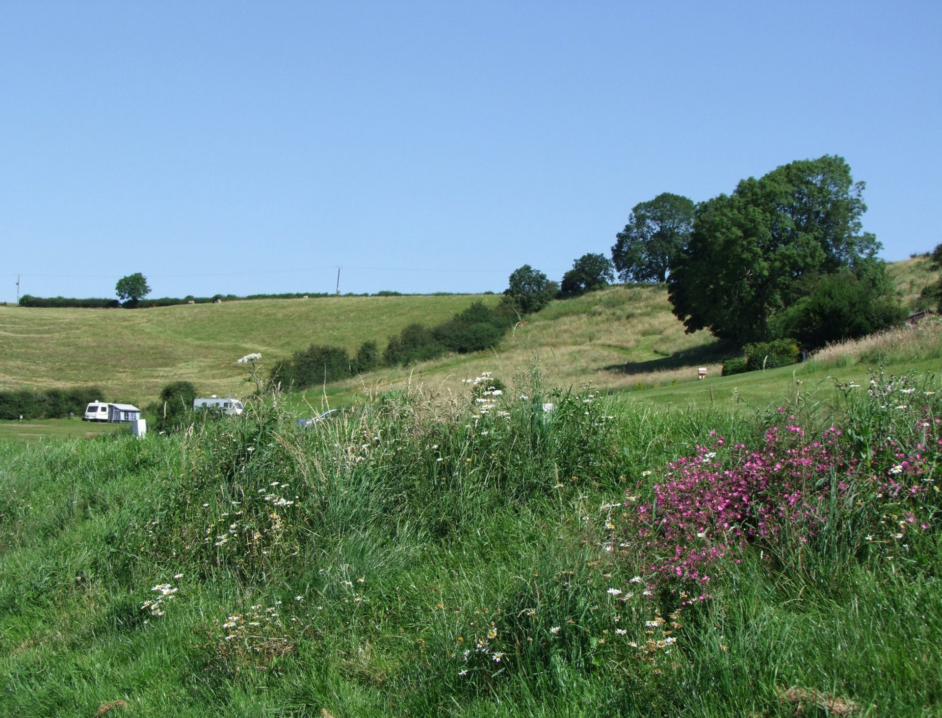 Fir Tree Farm Cool Caravanning Caroline Mills