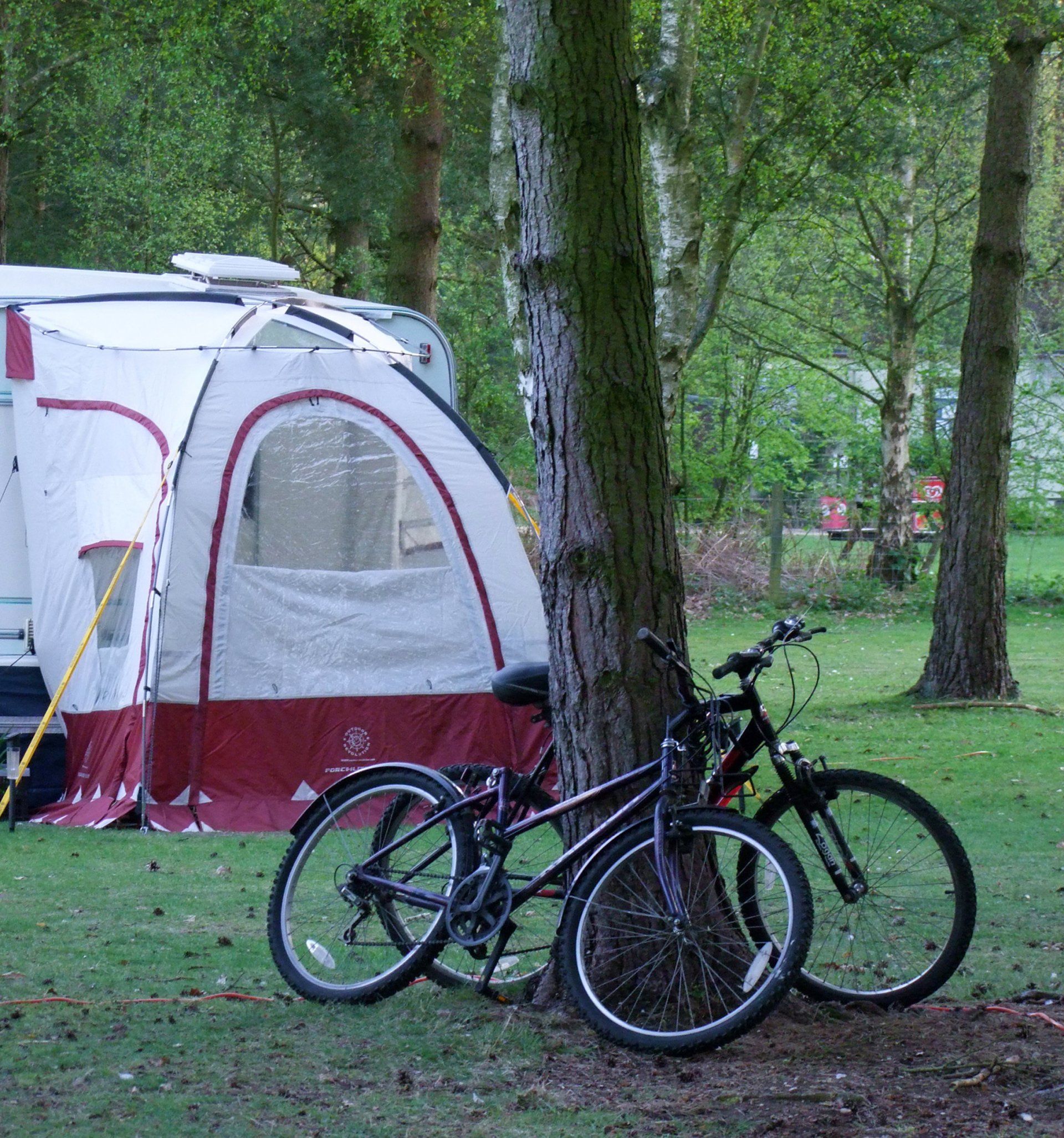 Two bikes are leaning against a tree in front of a tent
