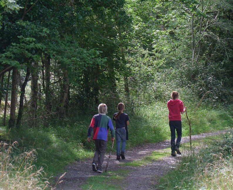Three people are walking down a path in the woods