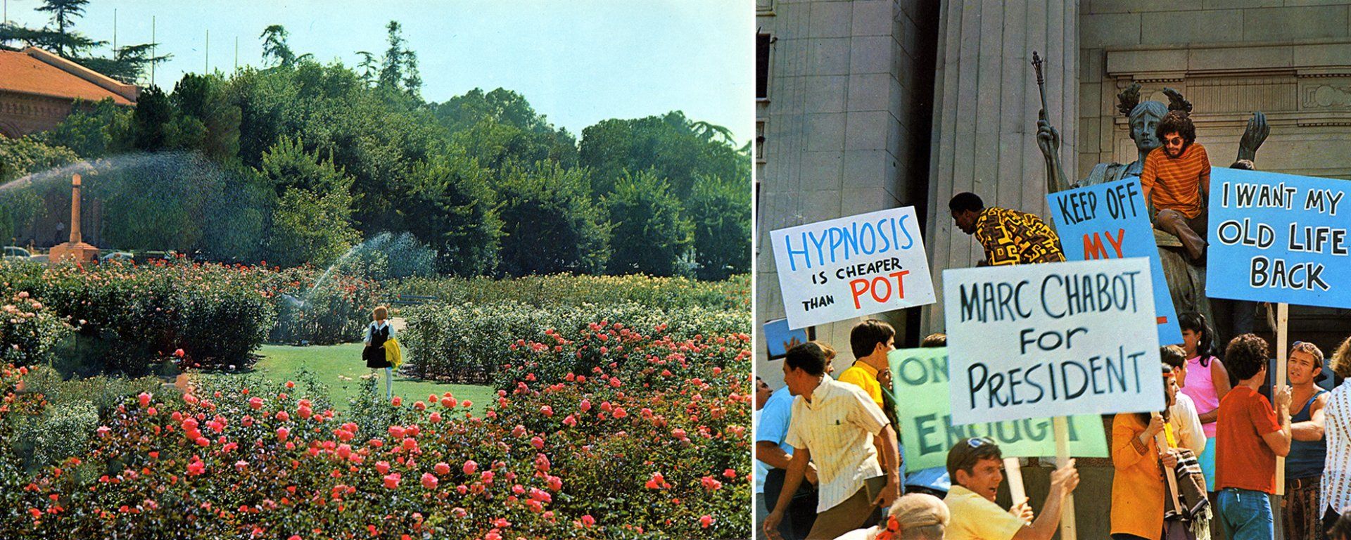 Scenes filmed at Exposition Rose Garden, Los Angeles.