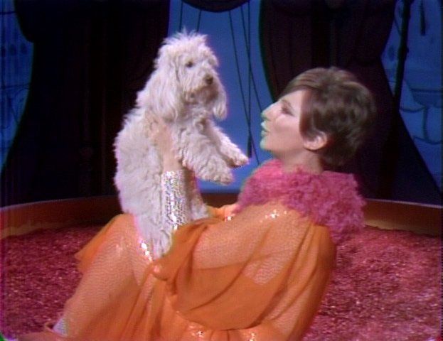 Barbra, wearing a ruffled clown-like collar, holds up Sadie, her white fluffy dog.