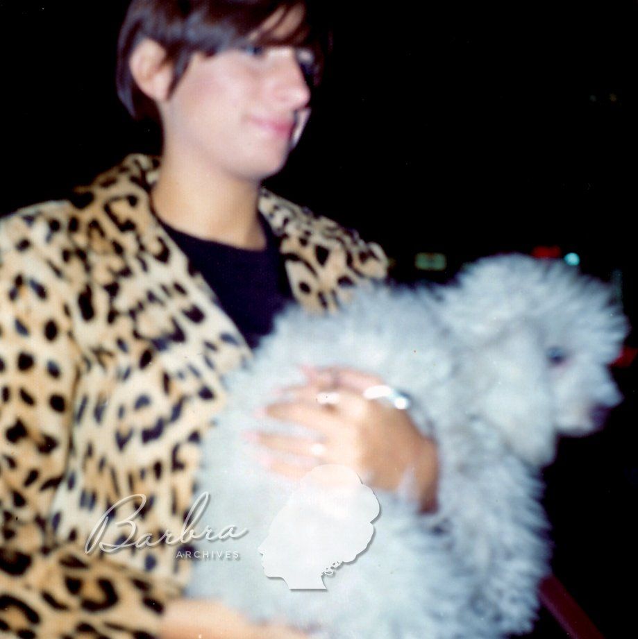 Streisand and Sadie again.