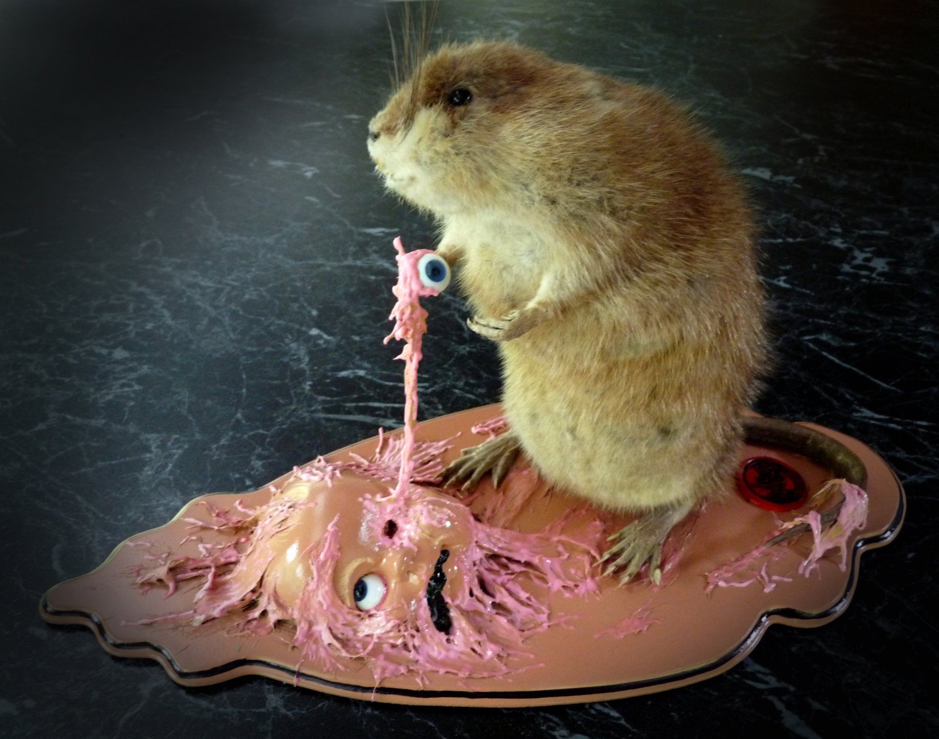 Rogue taxidermie
