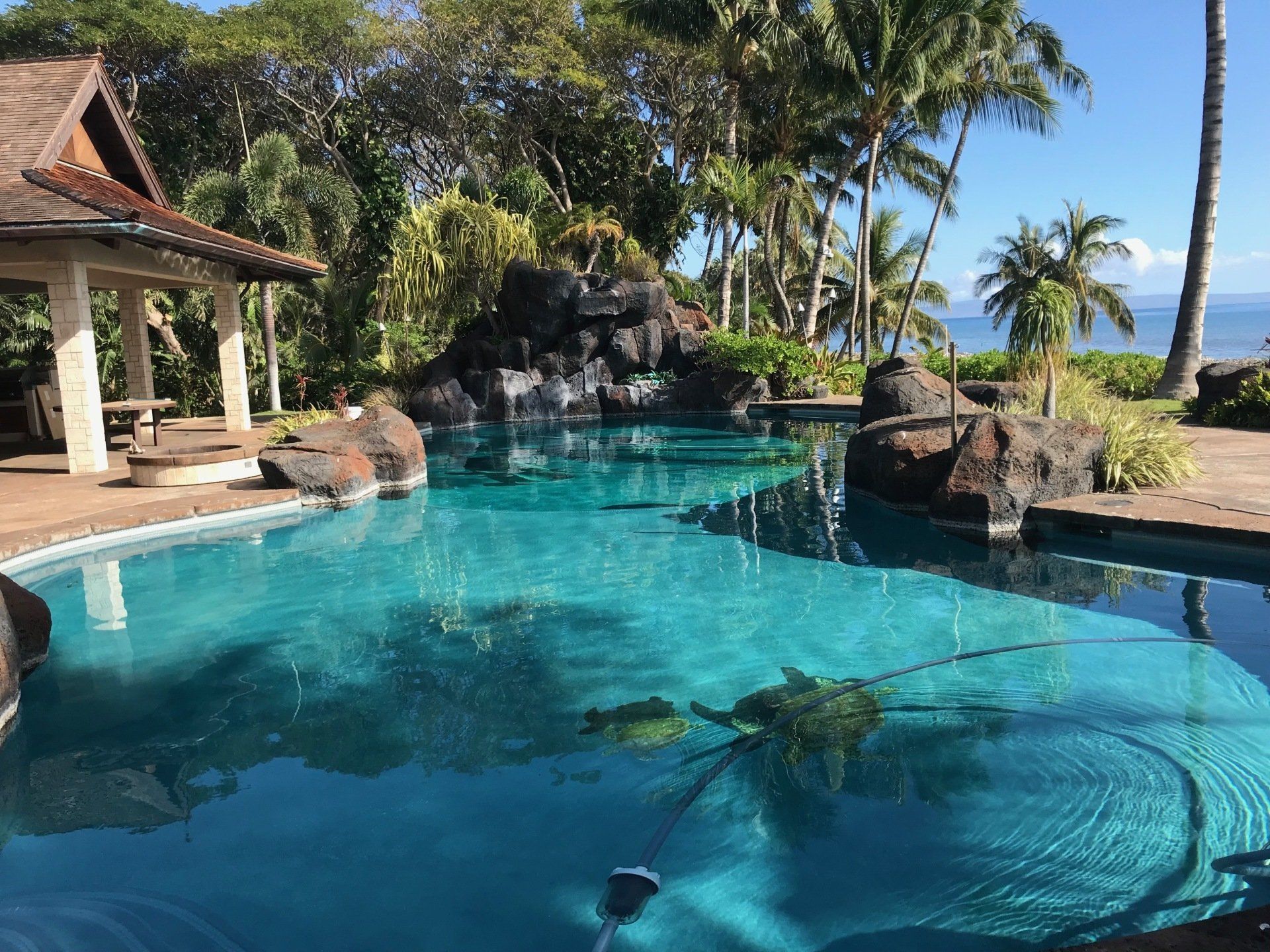 Pool maintenance being performed near Lahaina, HI
