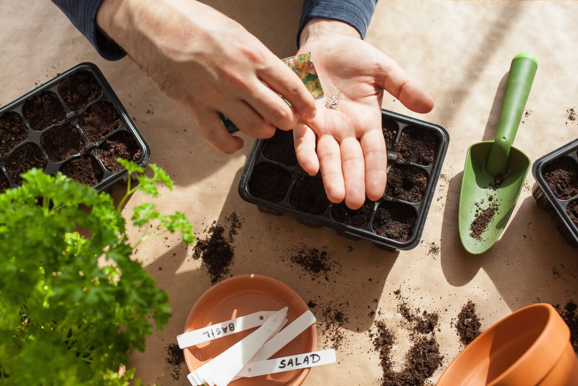 giardiniere durante la concimazione