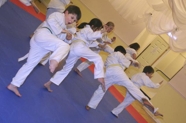 Ju Jitsu for kids
