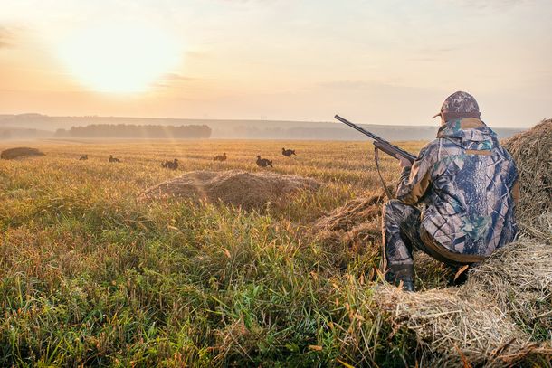 hunter looking at decoys