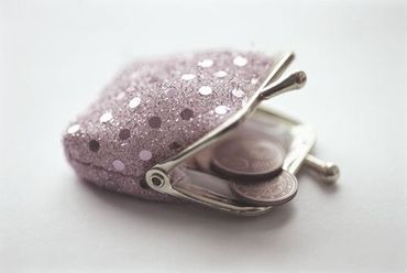 Change purse containing Euro coins, close-up (soft focus)