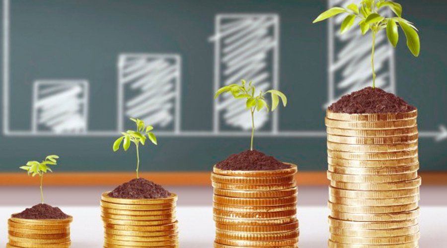 coins with growing plants