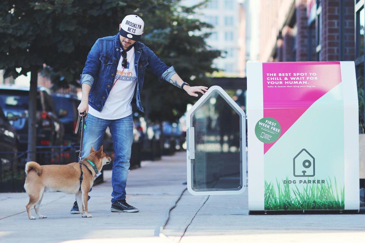 man walking his dog