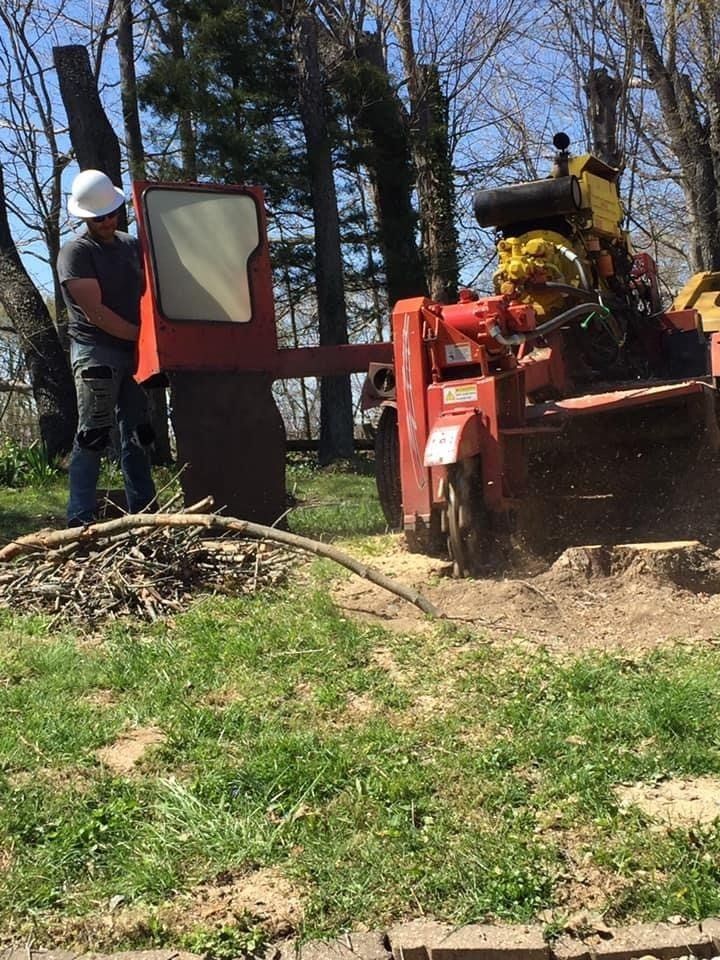 Two man Cutting Trunks - Tree trimming in Connersville, IN