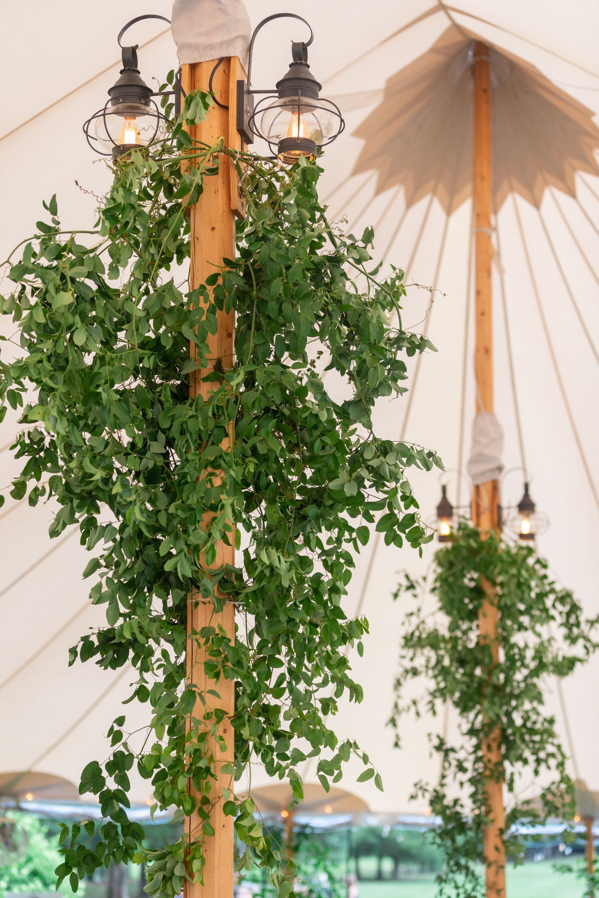 Hanging green vines on wooden poles beneath a white tent ceiling with lanterns.