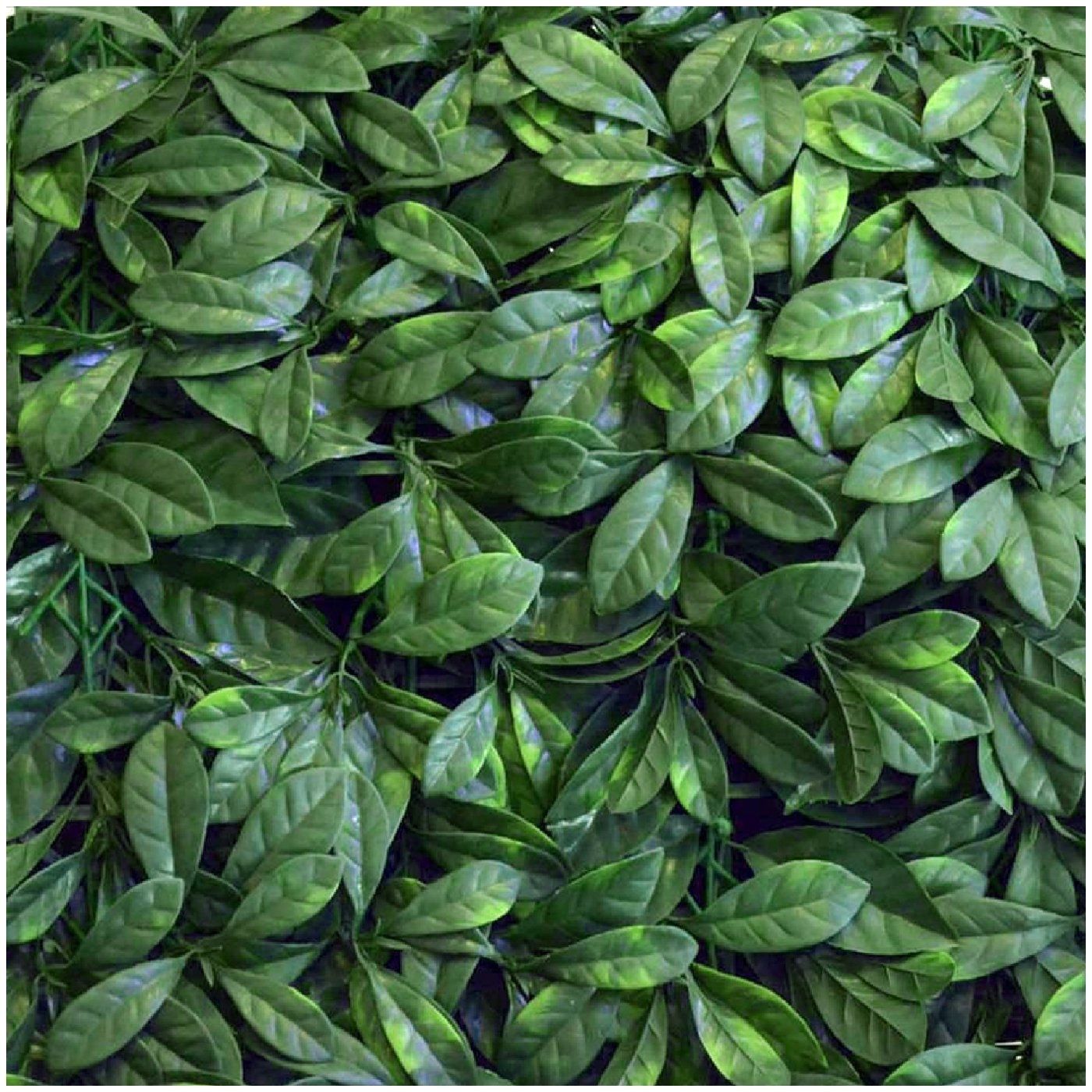 Dense green leafy foliage filling the frame, with glossy overlapping leaves in varied shades of green