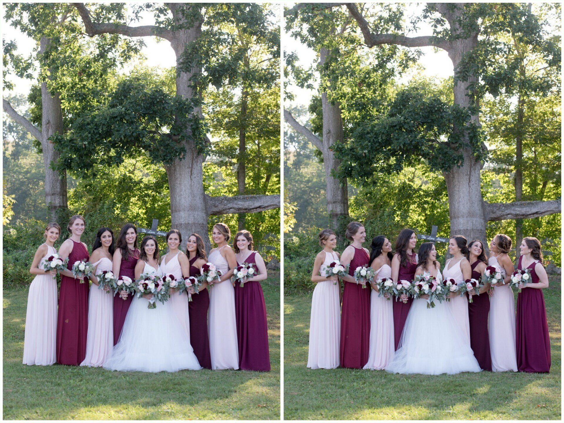 Wedding party posing outdoors under large trees, bridesmaids in burgundy beside bride in white gowns, holding bouquets