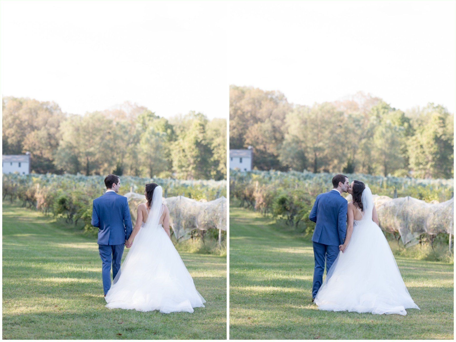 Bride and groom walking hand in hand across a sunlit lawn, shown side by side in a split-screen view