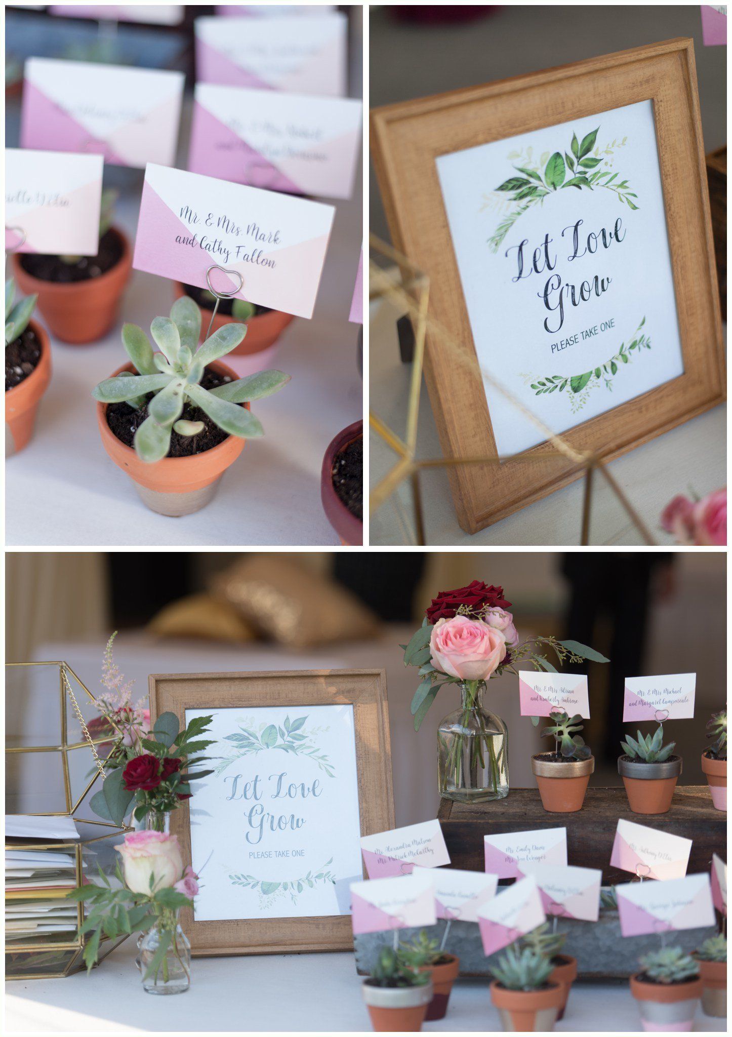 Rustic gift display with framed signs, potted succulents, and pink floral arrangements on a table