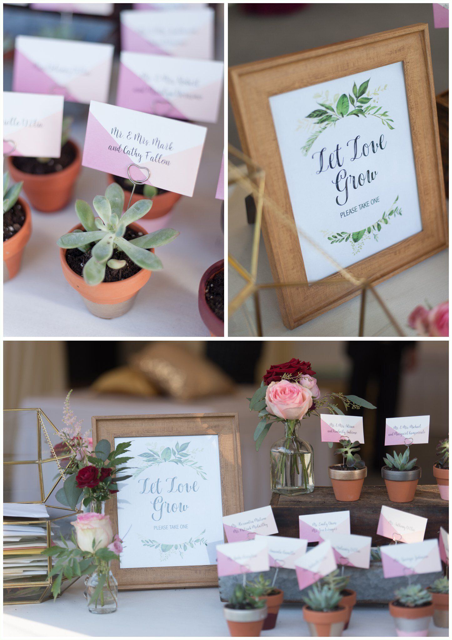 Framed succulent place cards and sign on a rustic table with pink flowers and terracotta pots