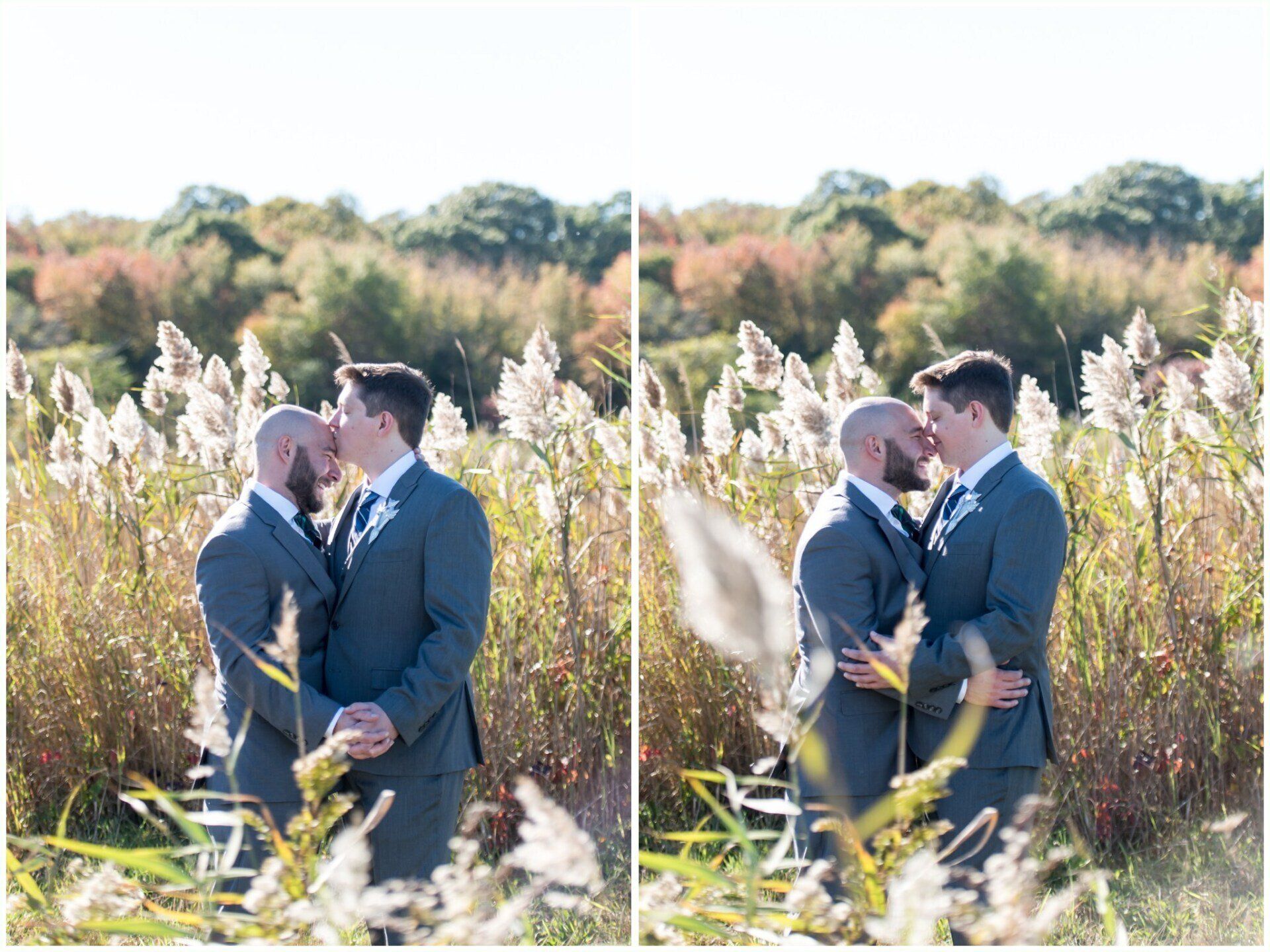 Two people embrace in a sunlit field of tall grasses and trees