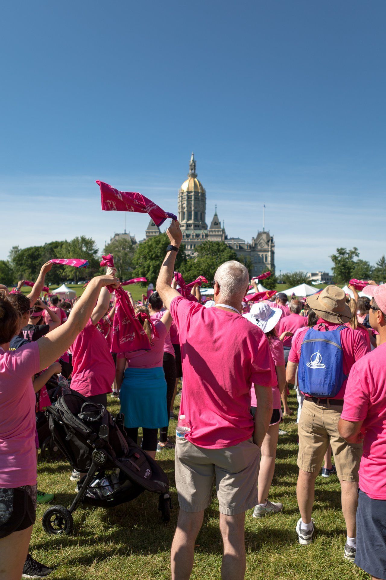 Crowd in pink shirts waving flags at an outdoor rally with a gold-domed capitol building in the background
