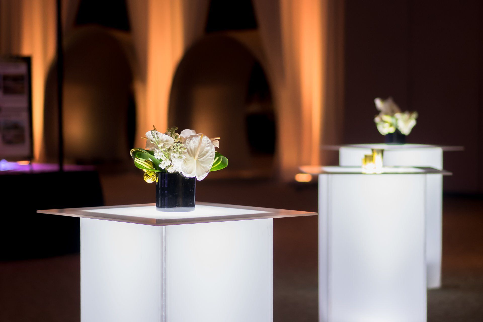 White floral arrangements on pedestals in a dimly lit gallery or event space