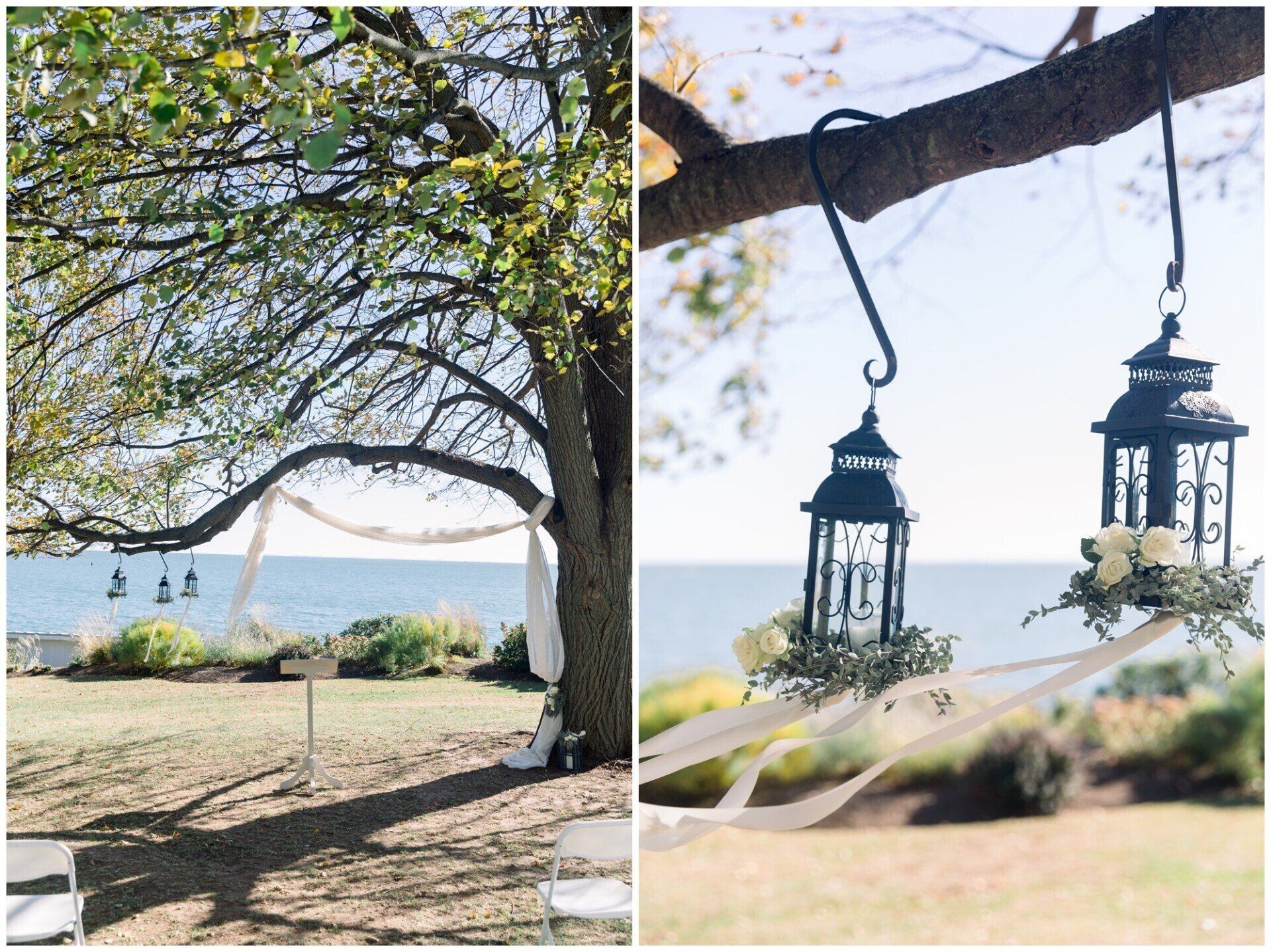 Two lanterns hang from a tree branch overlooking a sunny beach and calm sea