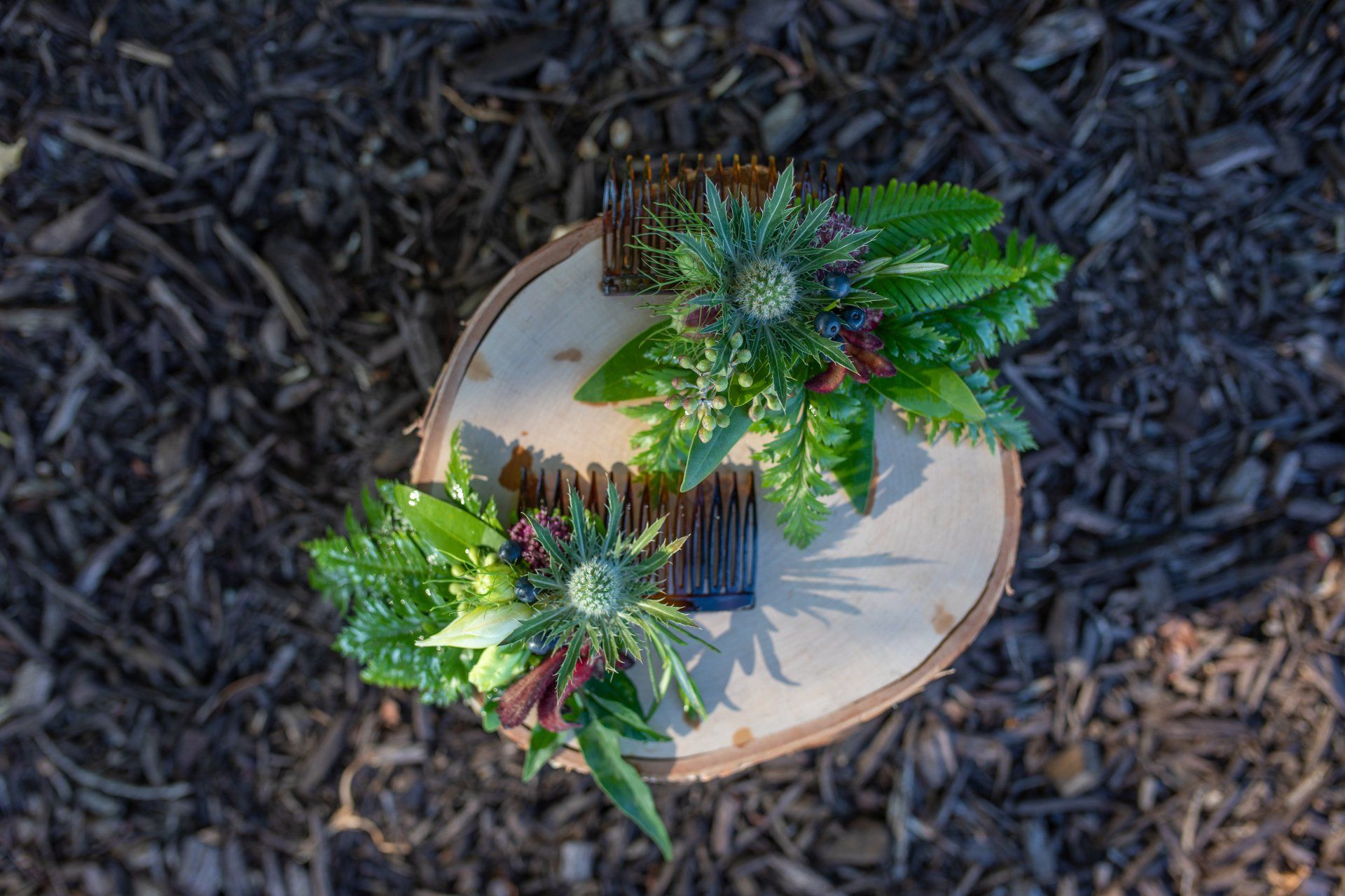 Two small potted succulents on a round wooden table over dark mulch