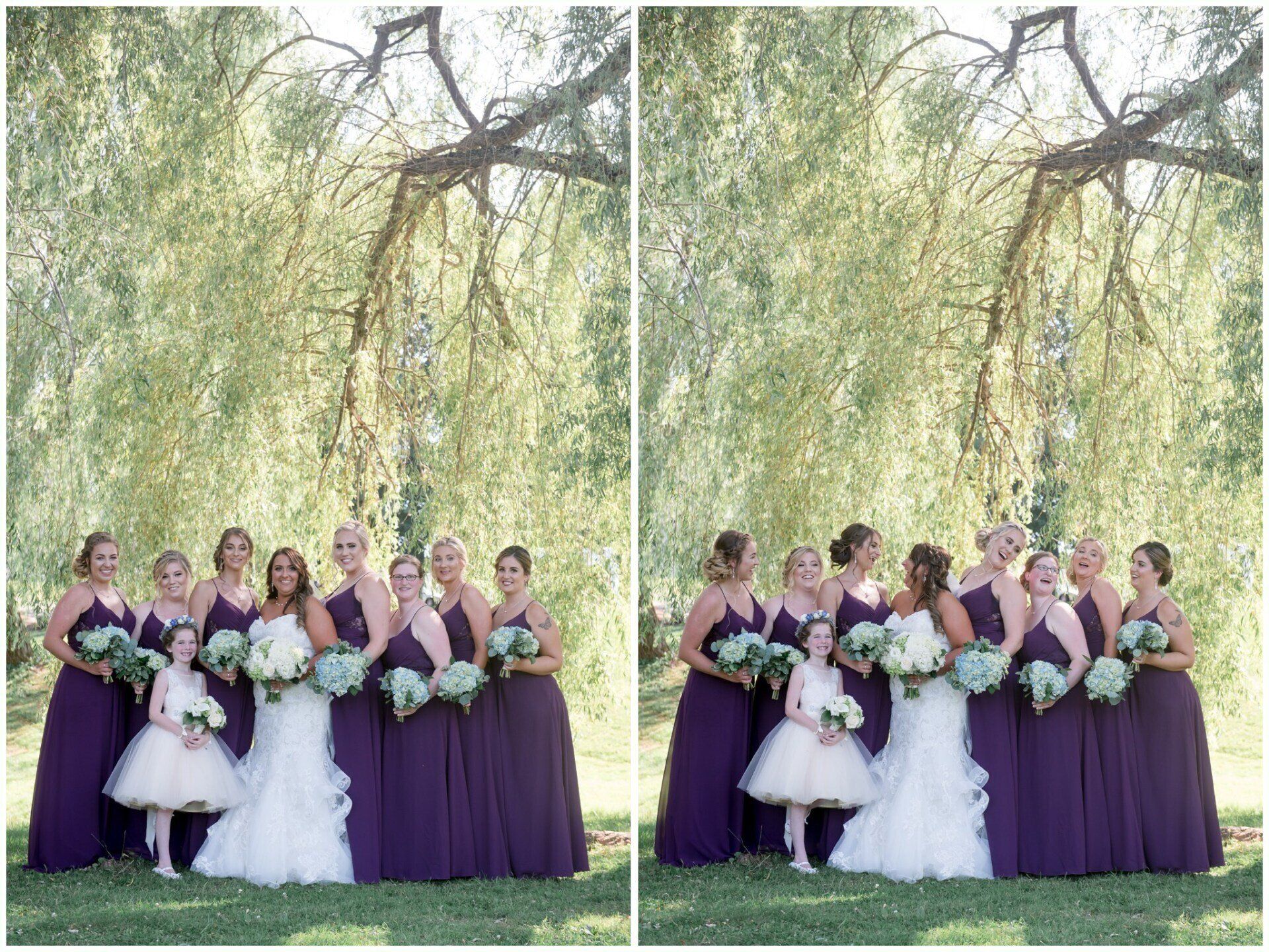 Bridesmaids and bride in purple dresses and white gown posing outdoors beneath hanging willow branches.