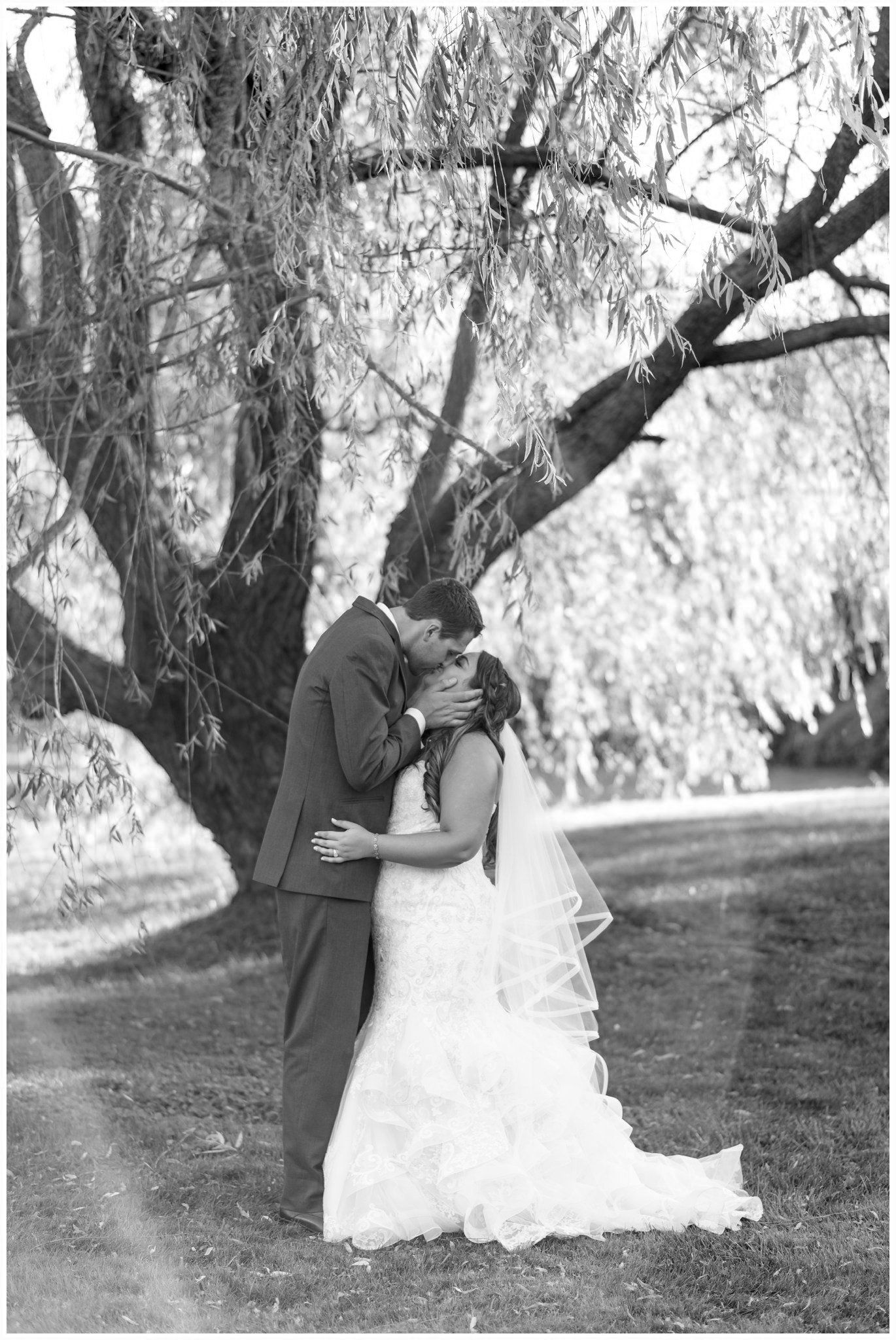 Couple embracing under a large tree in a black-and-white wedding photo