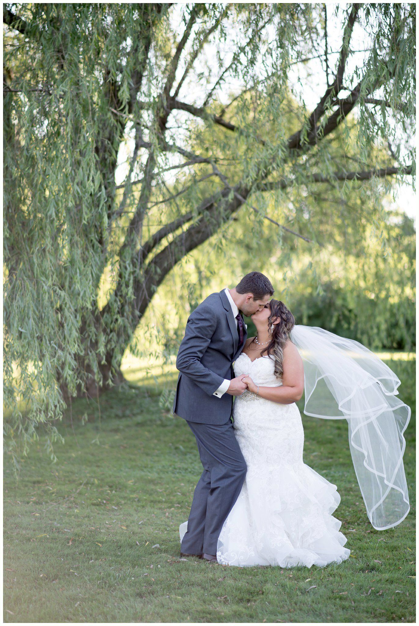 Bride and groom kissing in a grassy park beneath a large willow tree