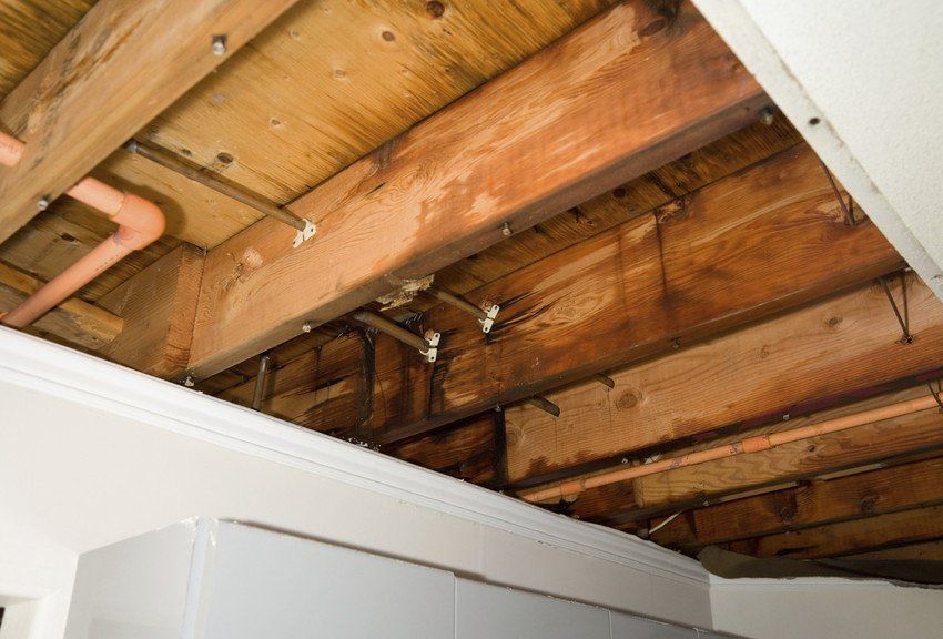 Leaking Roof