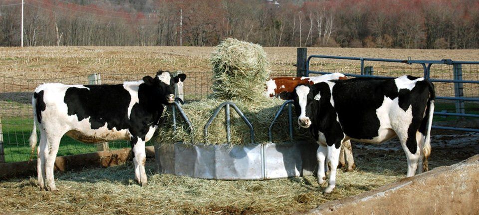 heatwave milk warmer