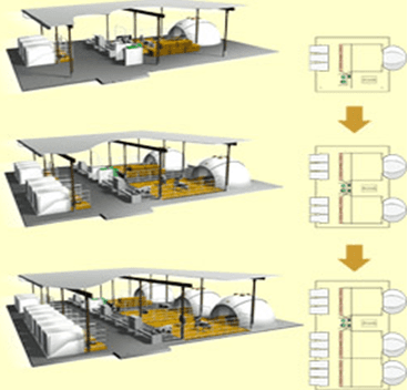 graphic of calf igloos