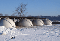 calf igloos
