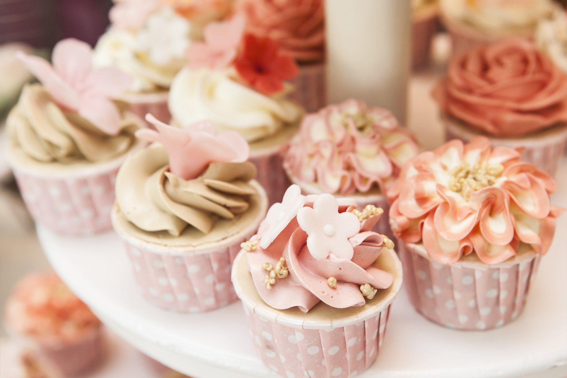 Catering Gallery
