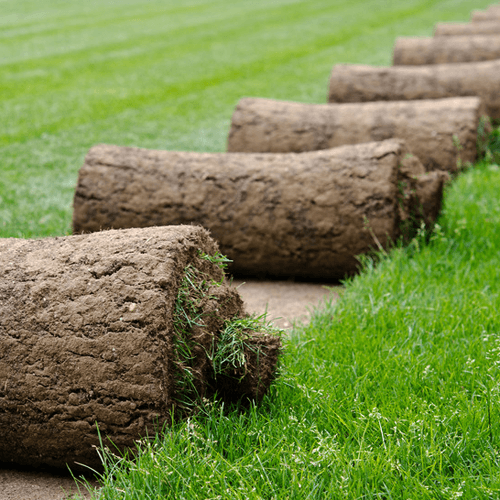 Turf rolls grounds maintenance