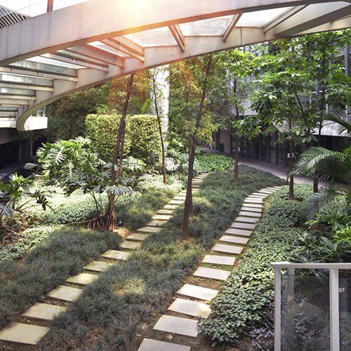 Commercial landscape management