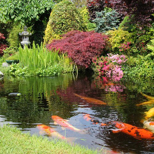 Commercial landscaping services