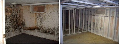 Removing Mold in Old House — Panama City, FL — Raven Environmental Restoration Services Removing Mold in Old House — Panama City, FL — Raven Environmental Restoration Services