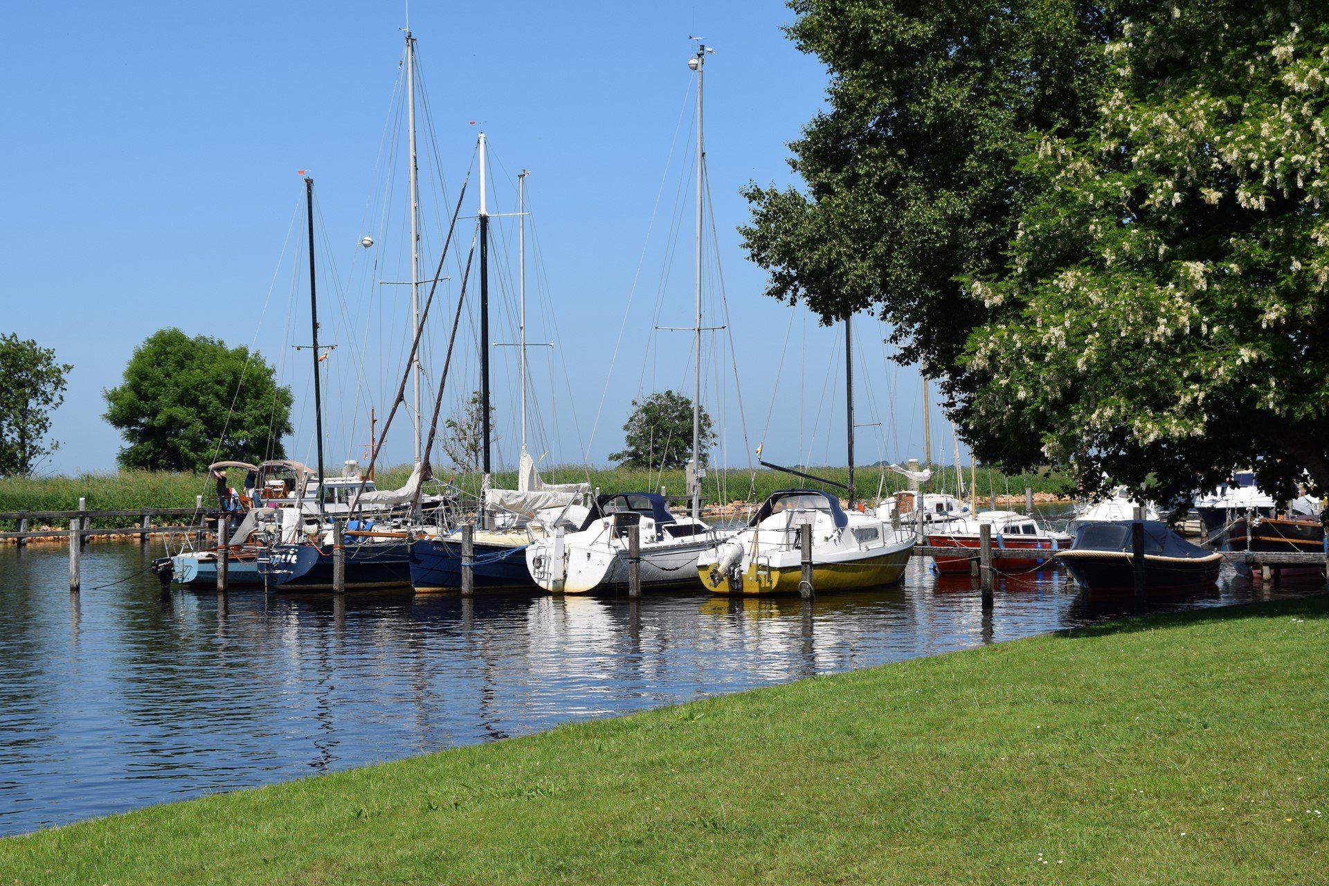 Legionella Preventie
