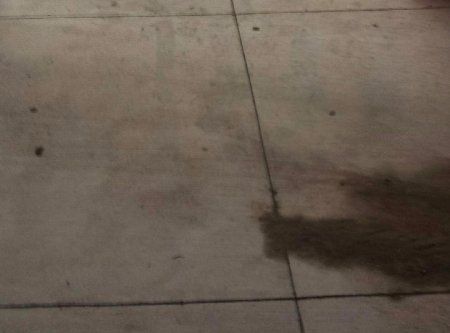 Concrete Cleaning - BEFORE