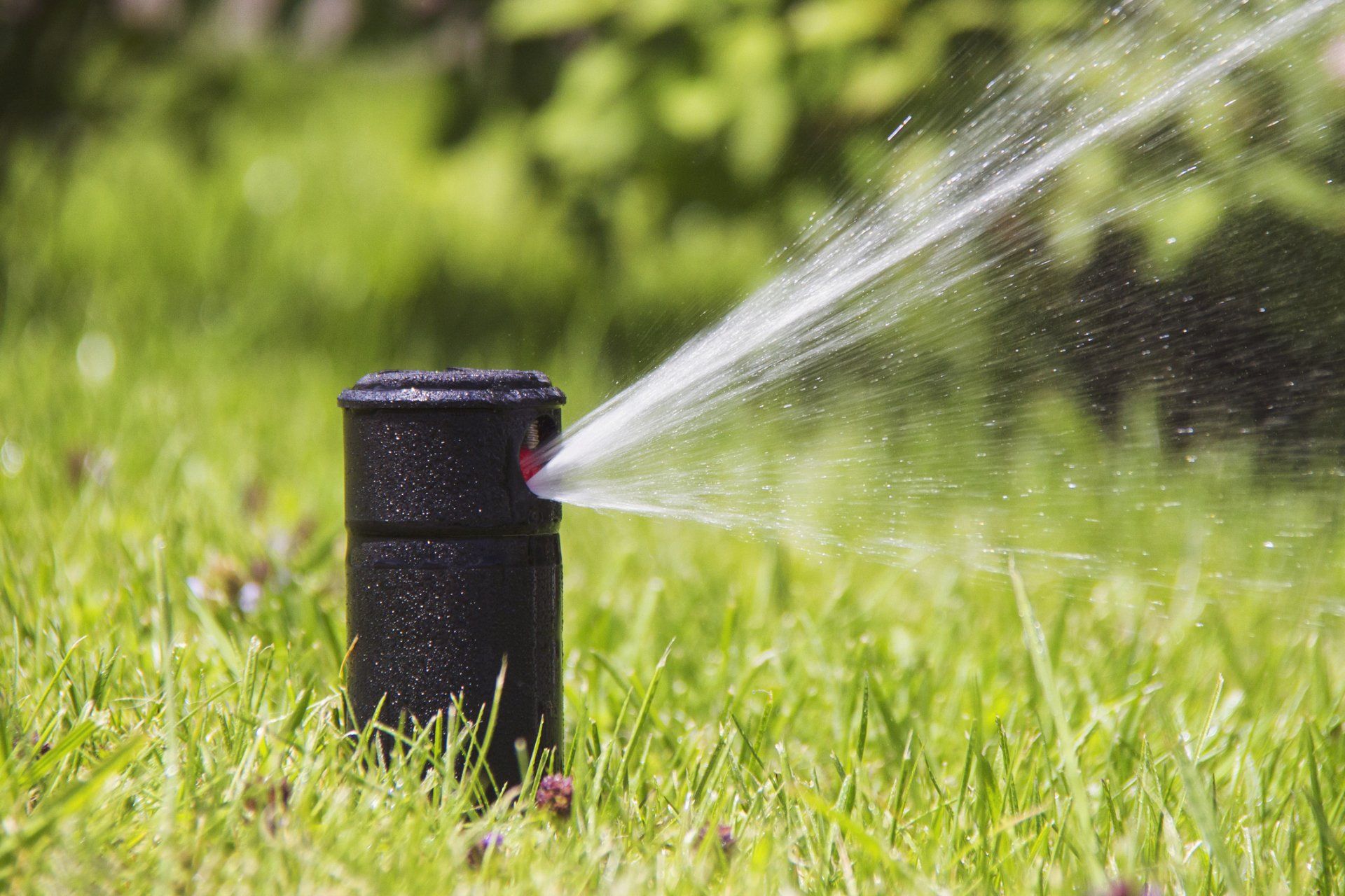 Spring Start-Ups — Springfield, MA — Lucky Lawn Sprinkler Co.