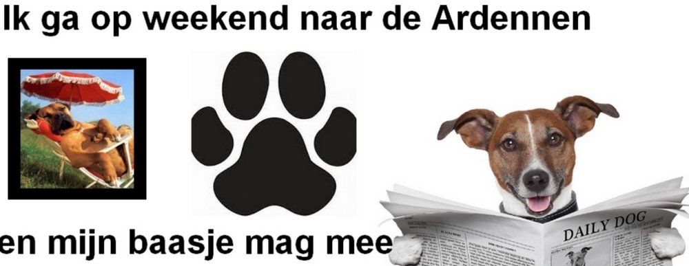 huisdieren toegestaan
