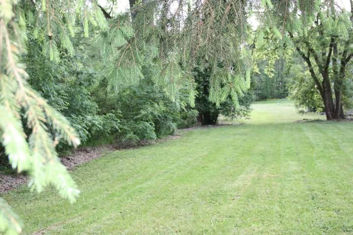 tuin